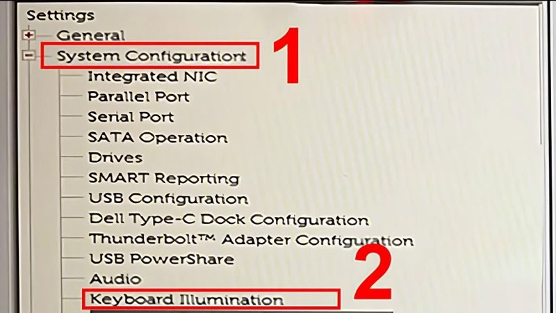 Chọn mục System Configuration, sau đó chọn vào Keyboard Illumination Chọn mục System Configuration, sau đó chọn Keyboard Illumination