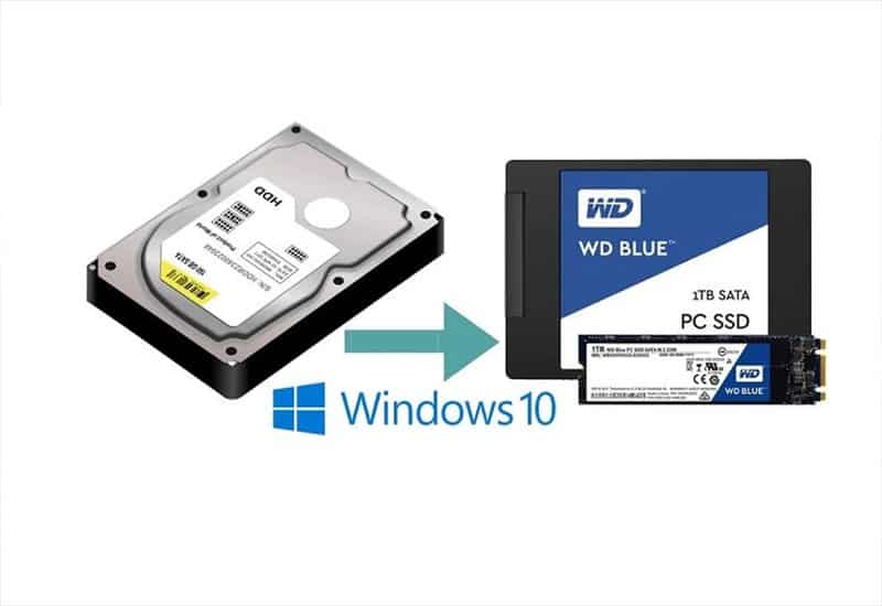 Kiểm tra dung lượng SSD và cập nhật firmware mới nhất Sao lưu dữ liệu quan trọng và chuẩn bị USB cài Windows