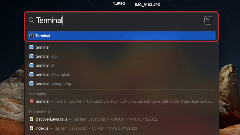 Gõ Terminal và mở ứng dụng này lên Gõ Terminal vào ô tìm kiếm