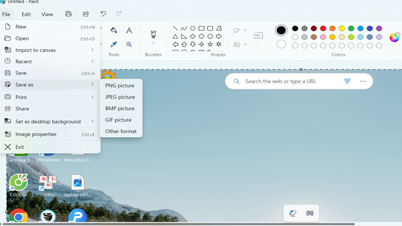 Chọn File rồi chọn Save As và chọn định dạng ảnh Lưu ảnh bằng cách chọn File sau đó bấm Save As