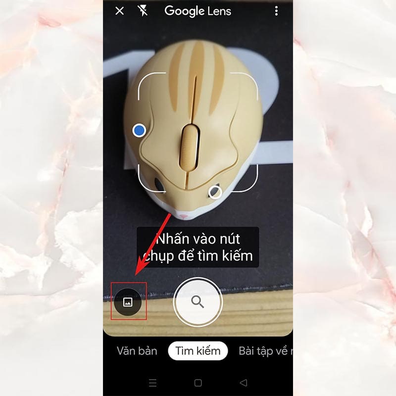 Vào thư viện ảnh để tìm hình ảnh