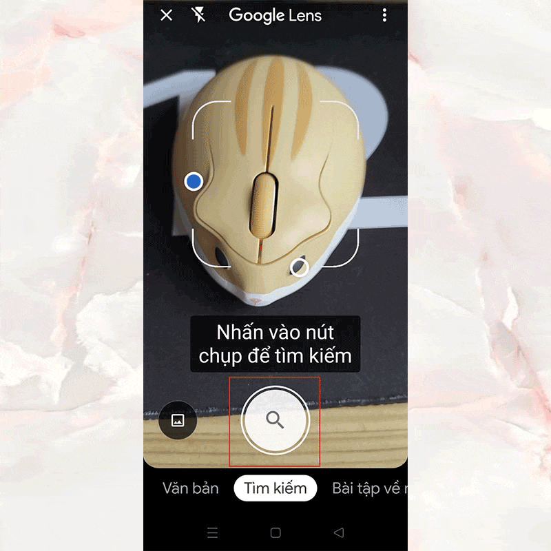 Đưa camera về vật thể để bấm nút chụp