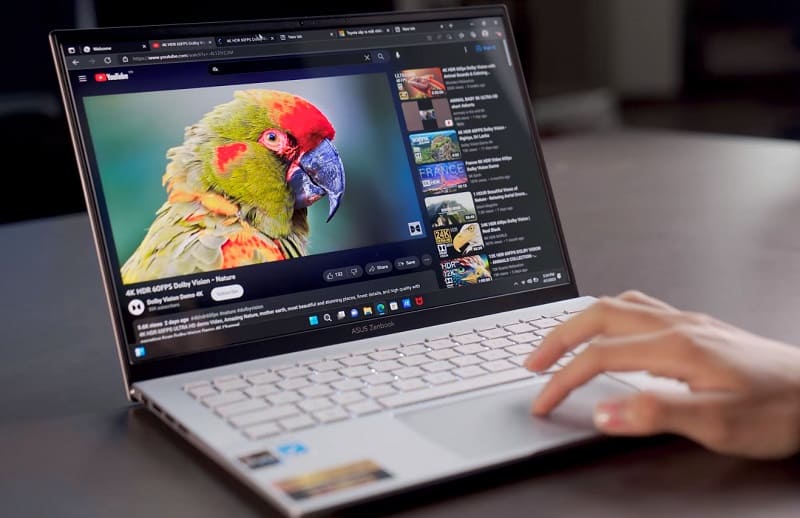 Laptop ASUS Zenbook 14 lý tưởng cho sinh viên ngành kế toán Laptop ASUS Zenbook 14 phù hợp cho sinh viên kế toán