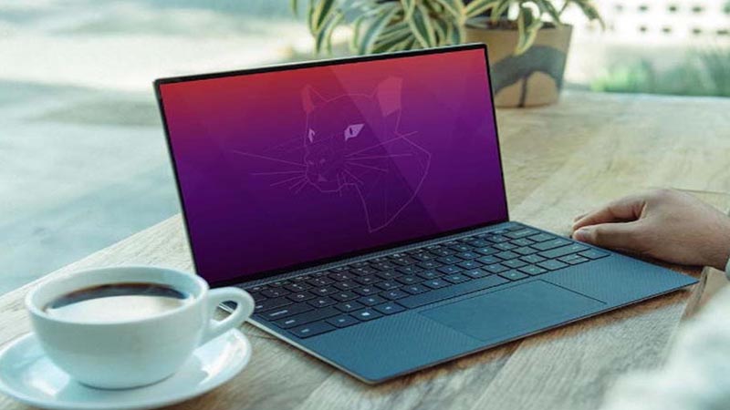 Nên chọn laptop cho sinh viên logistics có RAM lớn Chọn laptop cho sinh viên logistics có RAM lớn