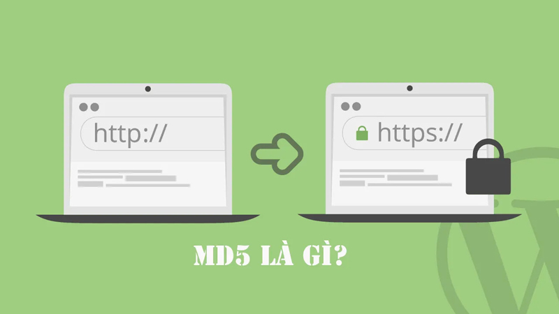 Mã MD5 là gì? Hướng dẫn cách check mã MD5 nhanh chóng