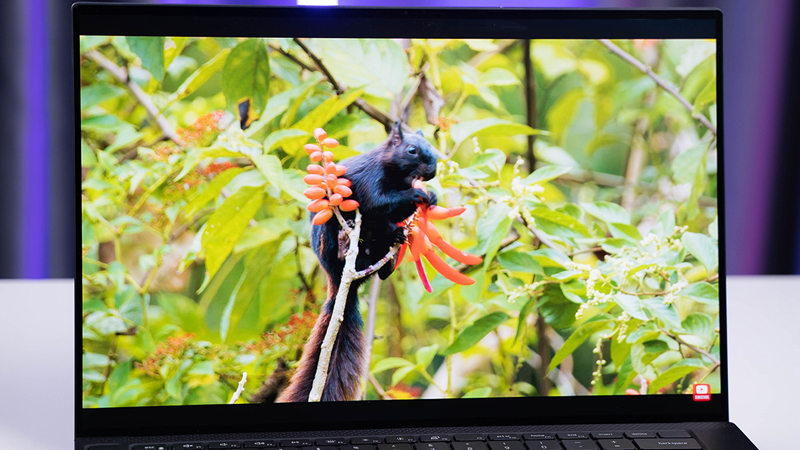 Màn hình cao cấp cho hình ảnh sắc nét Màn hình chất lượng cao