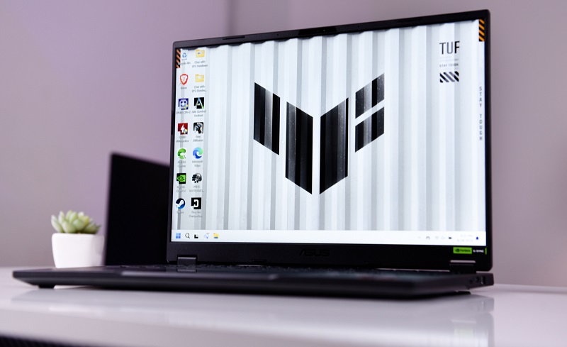 Màn hình 15.6 inch, tấm nền IPS cho hình ảnh sống động, sắc nét