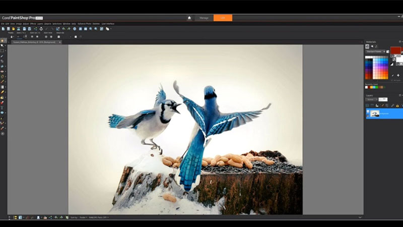 Corel PaintShop Pro là phần mềm chỉnh sửa ảnh trên pc  Phần mềm Corel PaintShop Pro