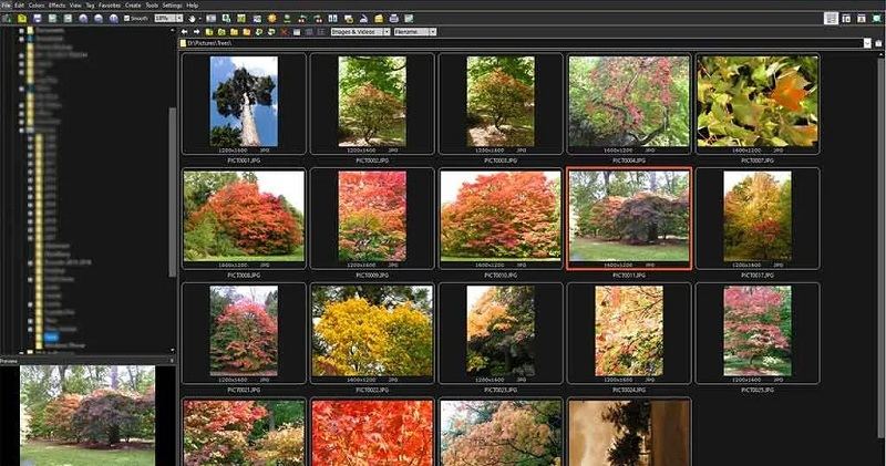 FastStone Image Viewer mang đến những bức ảnh đẹp