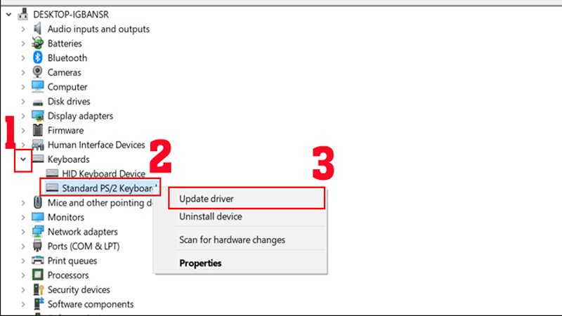 Kích chuột phải Standard PS/2 Keyboards chọn Update Driver Software Chọn Update Driver Software