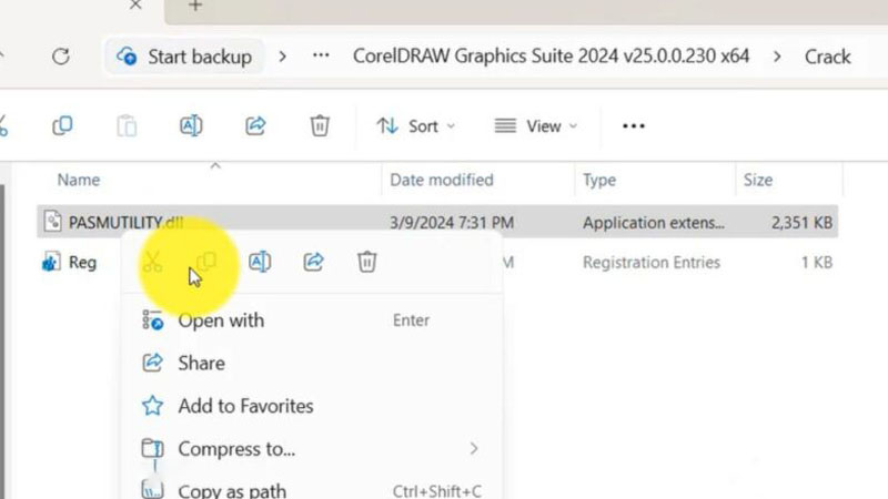 Copy file “PasmUtility.dll”