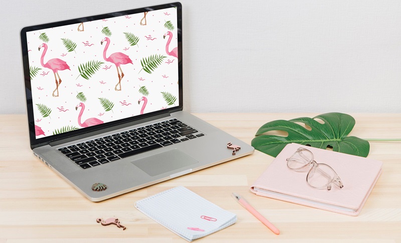 Chọn laptop kế toán cần chú ý hiệu suất, độ bền, di động và bàn phím tốt