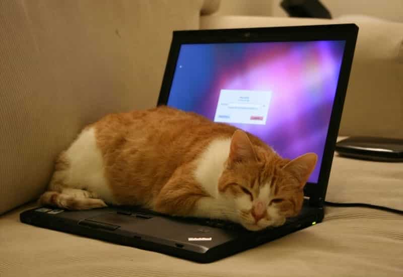 Tránh đặt vật nặng để không làm hỏng vỏ và linh kiện máy Bí quyết sử dụng laptop Lenovo bền lâu và hạn chế hư hỏng