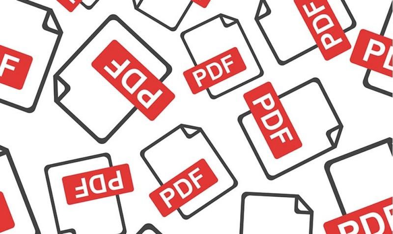 File PDF hạn chế khả năng nhập liệu